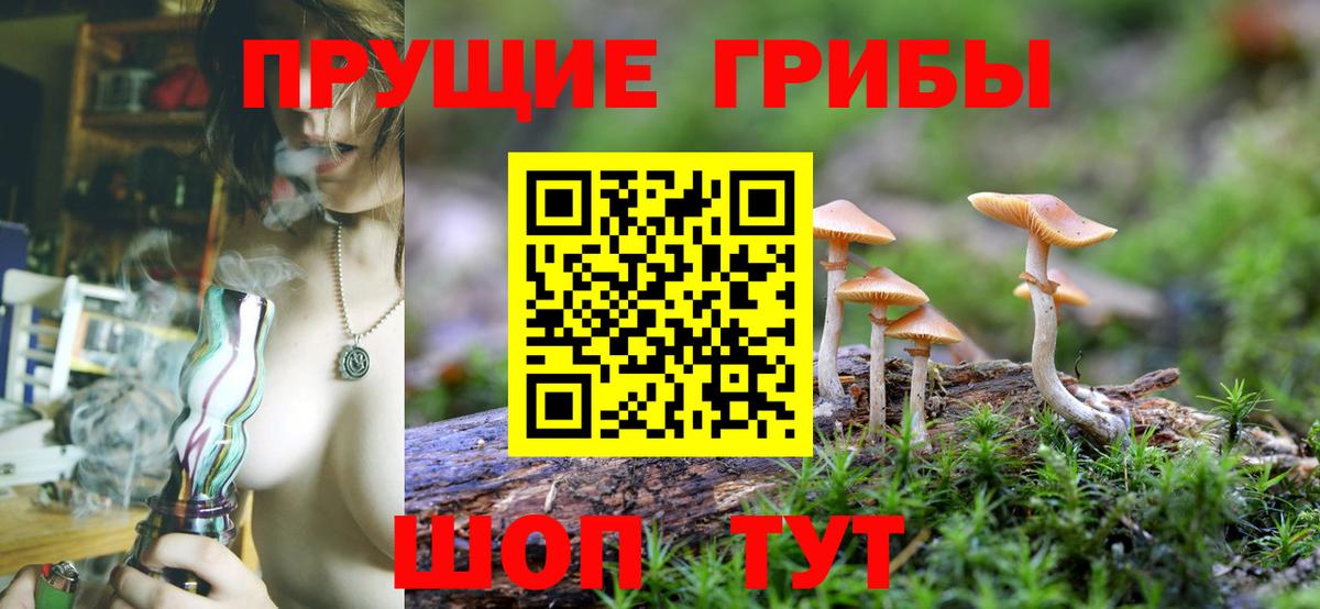 Электросталь  Галлюциногенные грибы MAGIC MUSHROOMS  даркнет сайт  Псилоцибиновые грибы мицелий  Вход с VPN 