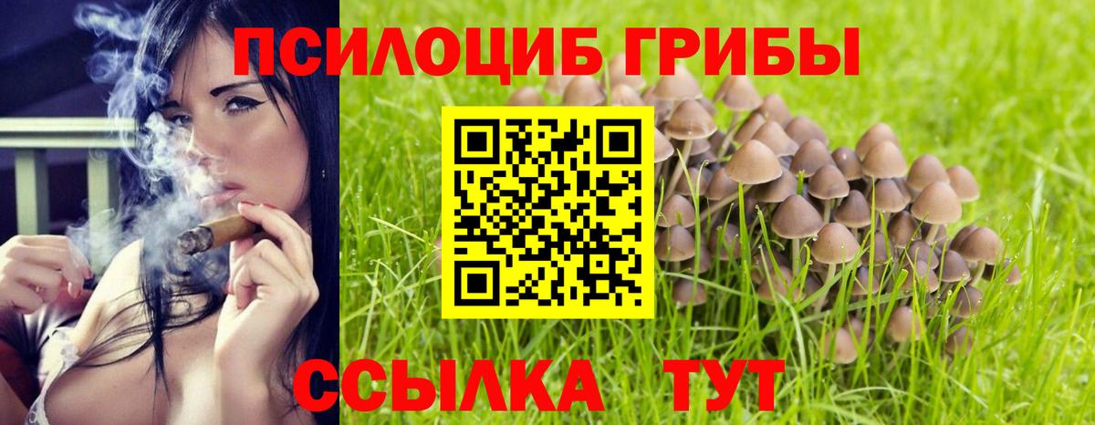 Псилоцибиновые грибы прущие грибы Электросталь